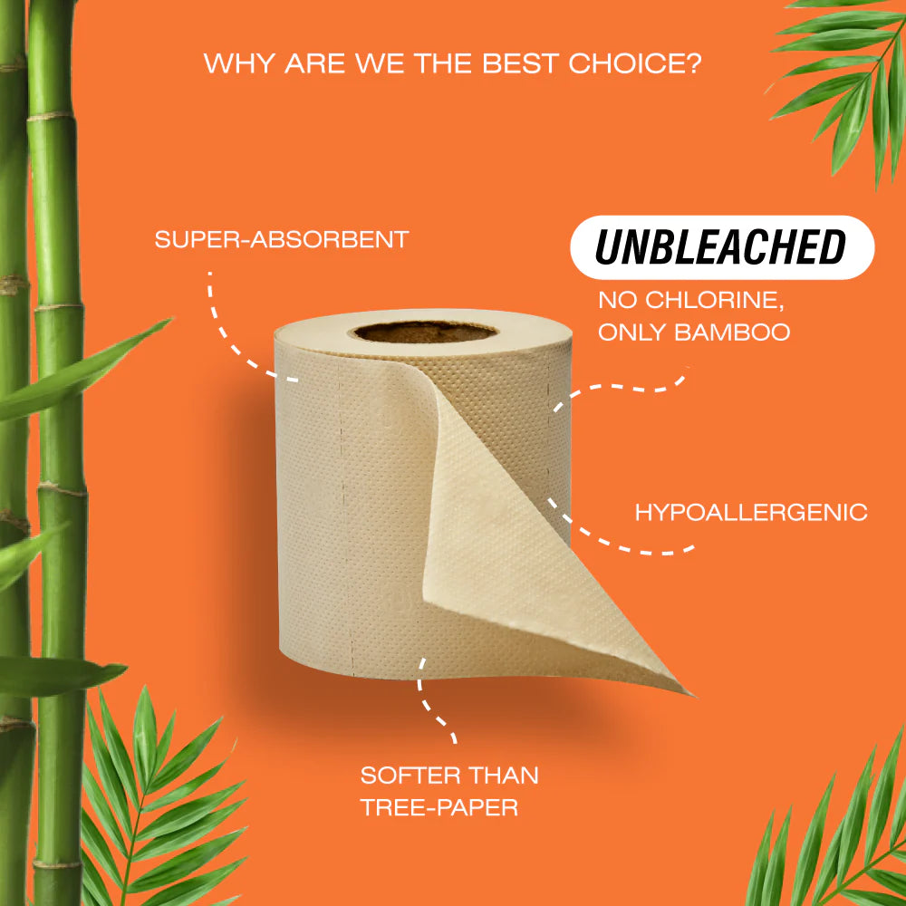 BECO BAMBOO TOILET ROLL 2 PLY 160 PULLS NK | Pack of 12