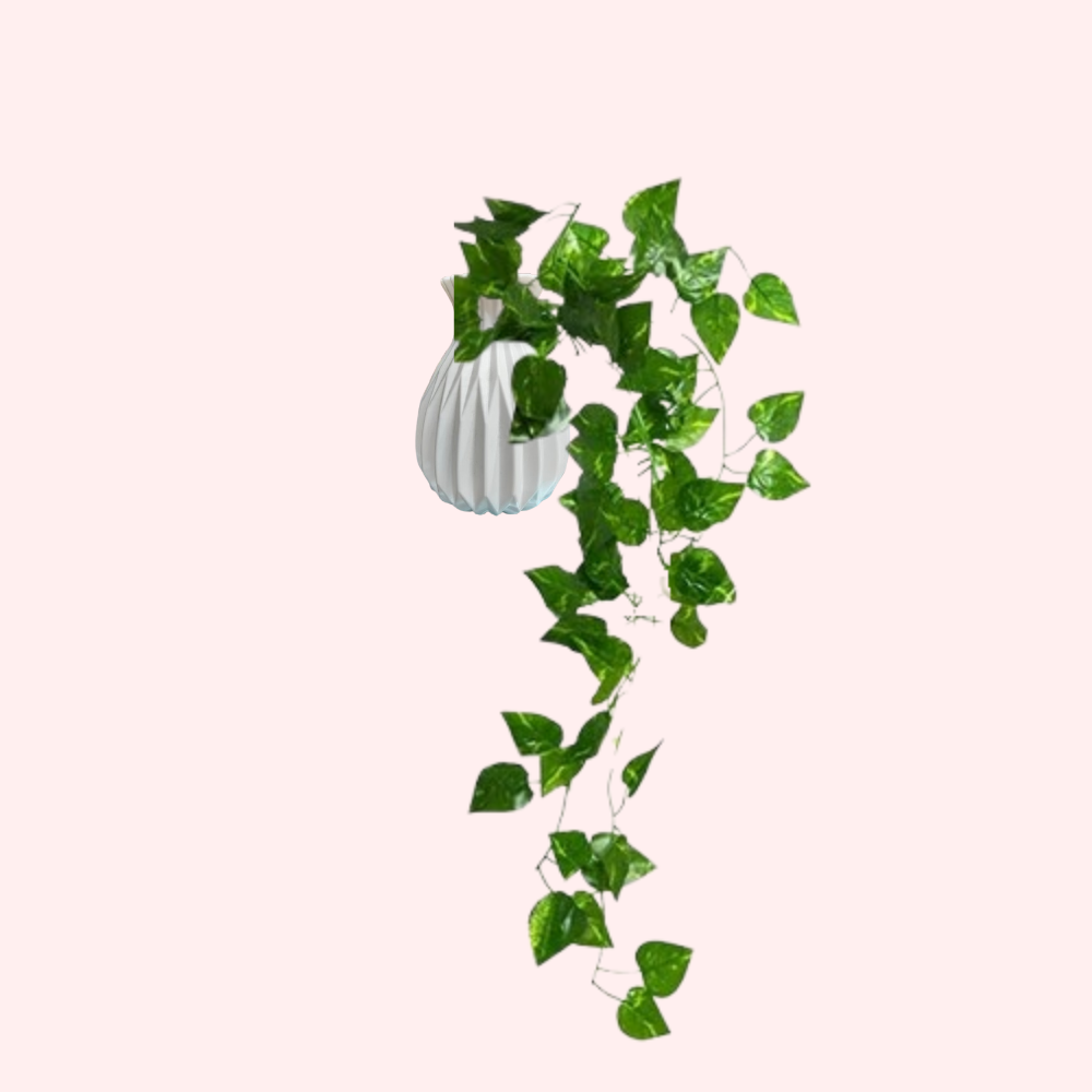 Stylish Plastic Plant Pot for Indoor and Outdoor Gardening