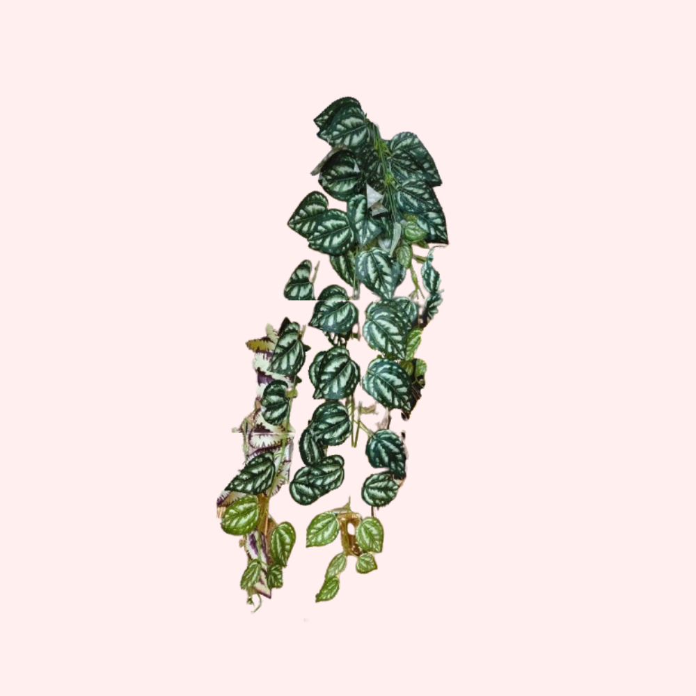 Artificial Creeper leaf Realistic Greenery for Home & Office Décor