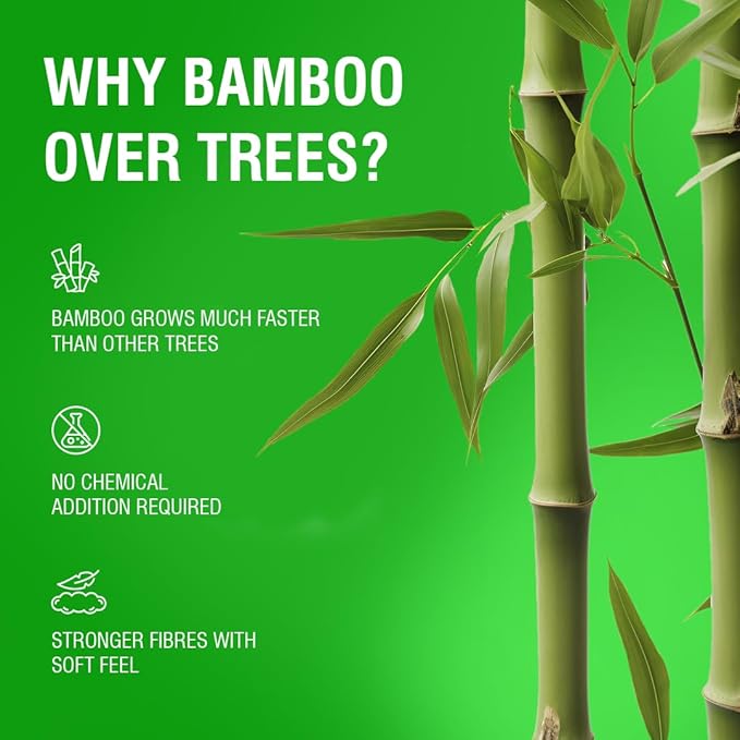 BECO BAMBOO TOILET ROLL 3 PLY 160 PULLS NK | Pack of 12