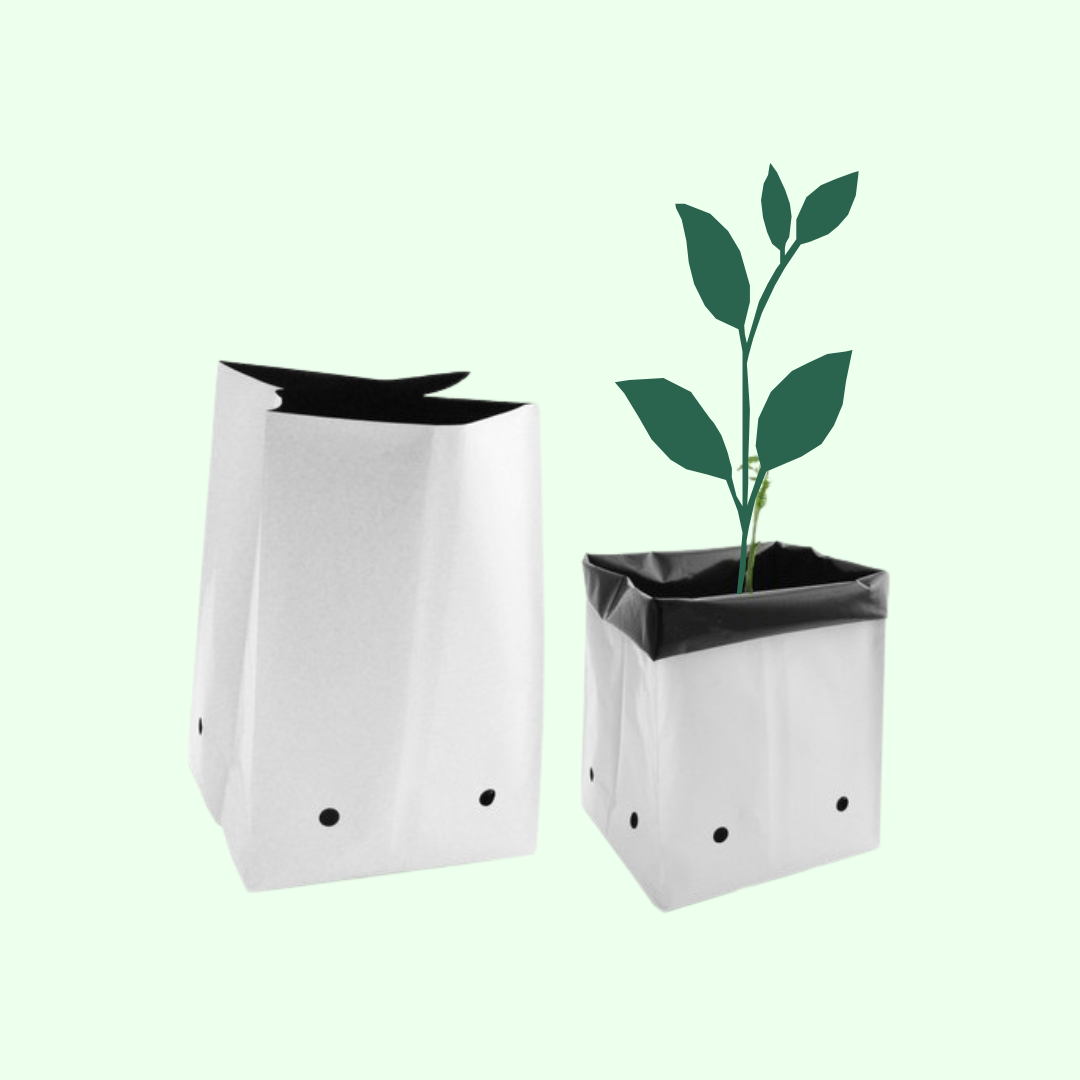 Plain Grow bag