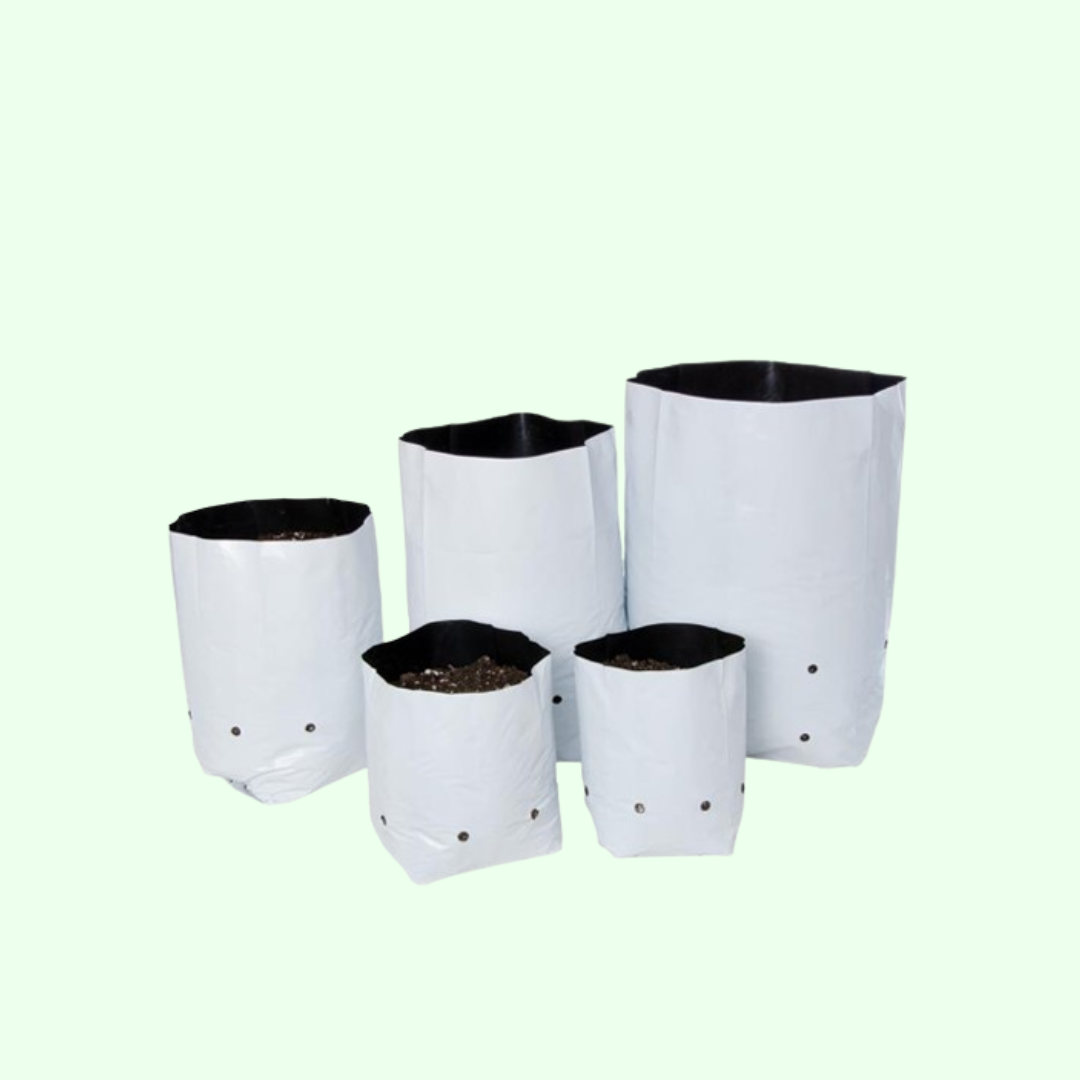 Plain Grow bag
