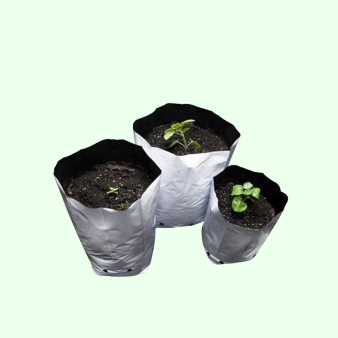 Plain Grow bag
