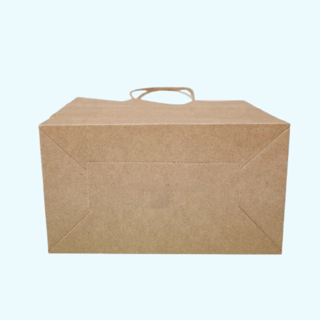 Loop Handle Paper Bag