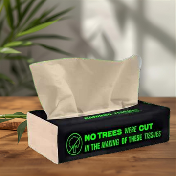 BECO BAMBOO FACIAL TISSUE 100 PULLS Soft Pack 100 pulls x 6 packs
